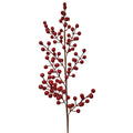 Κλαδί με Πολλά γκι 80cm Xmasfest 1133894