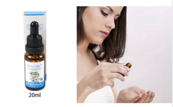 Αρωματικό Έλαιο 20ml Y20B – 12 Αρώματα